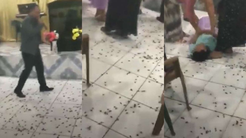 VÍDEO Plaga de insectos invade iglesia en pleno culto en Yoro