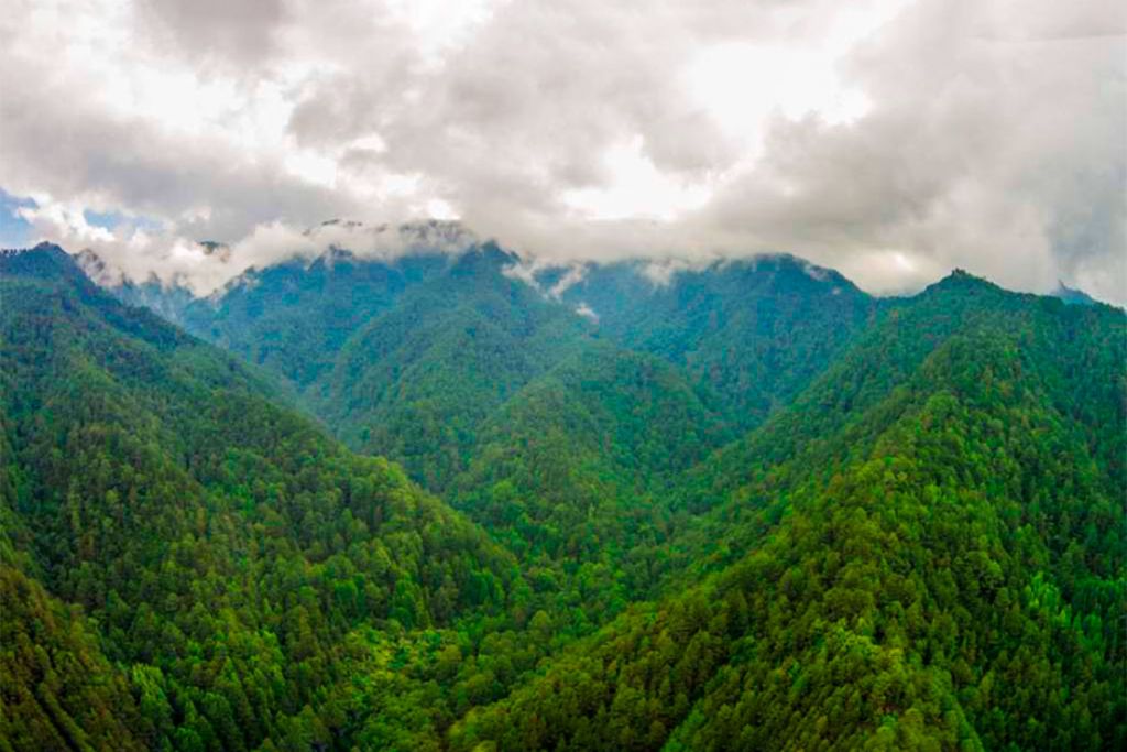 JOYA NATURAL: Parque Nacional Celaque, indómito refugio de vida silvestre