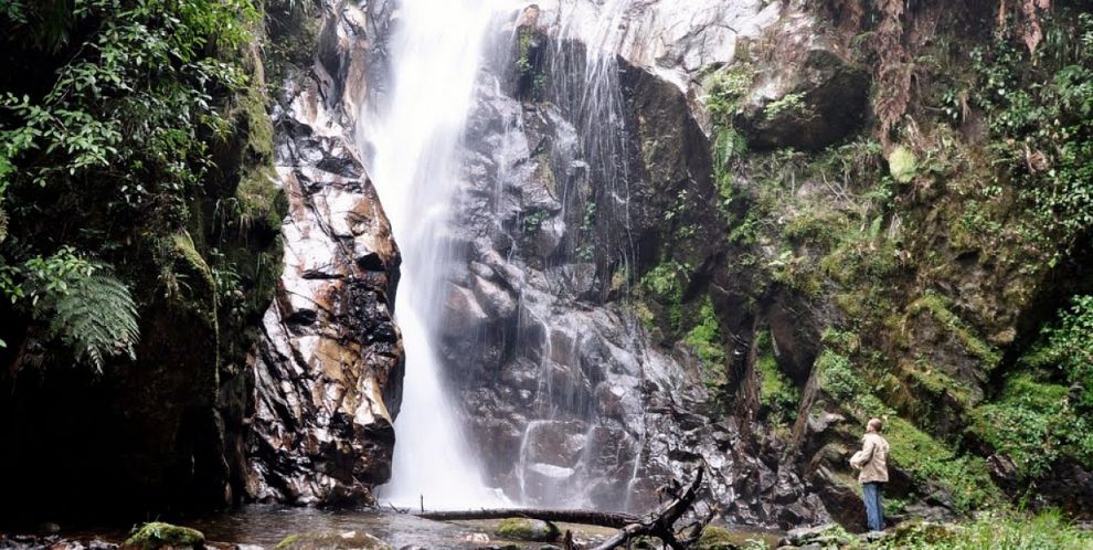 Joya Natural Parque Nacional Cusuco Pulmón Del Valle De Sula