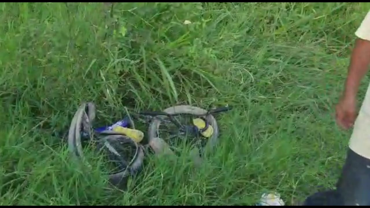 hermanitos bicicleta