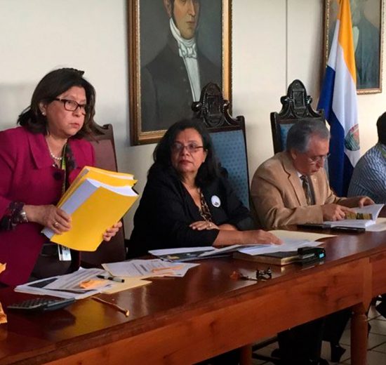Julieta Castellanos gobierno