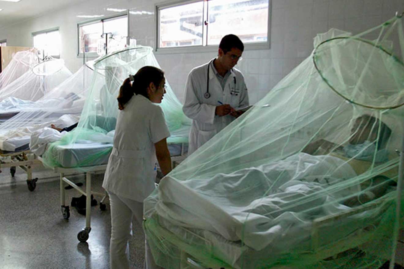 Alerta Fiebre del Mayaro