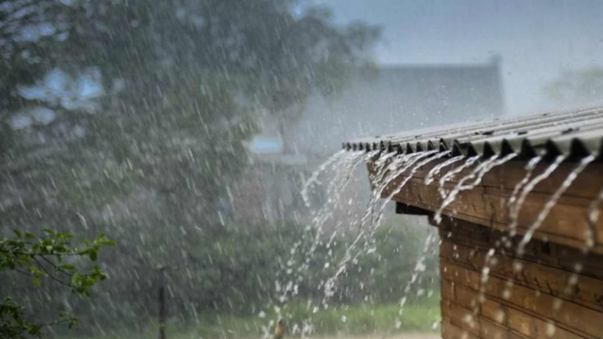 Cenaos lluvias normailzar agosto