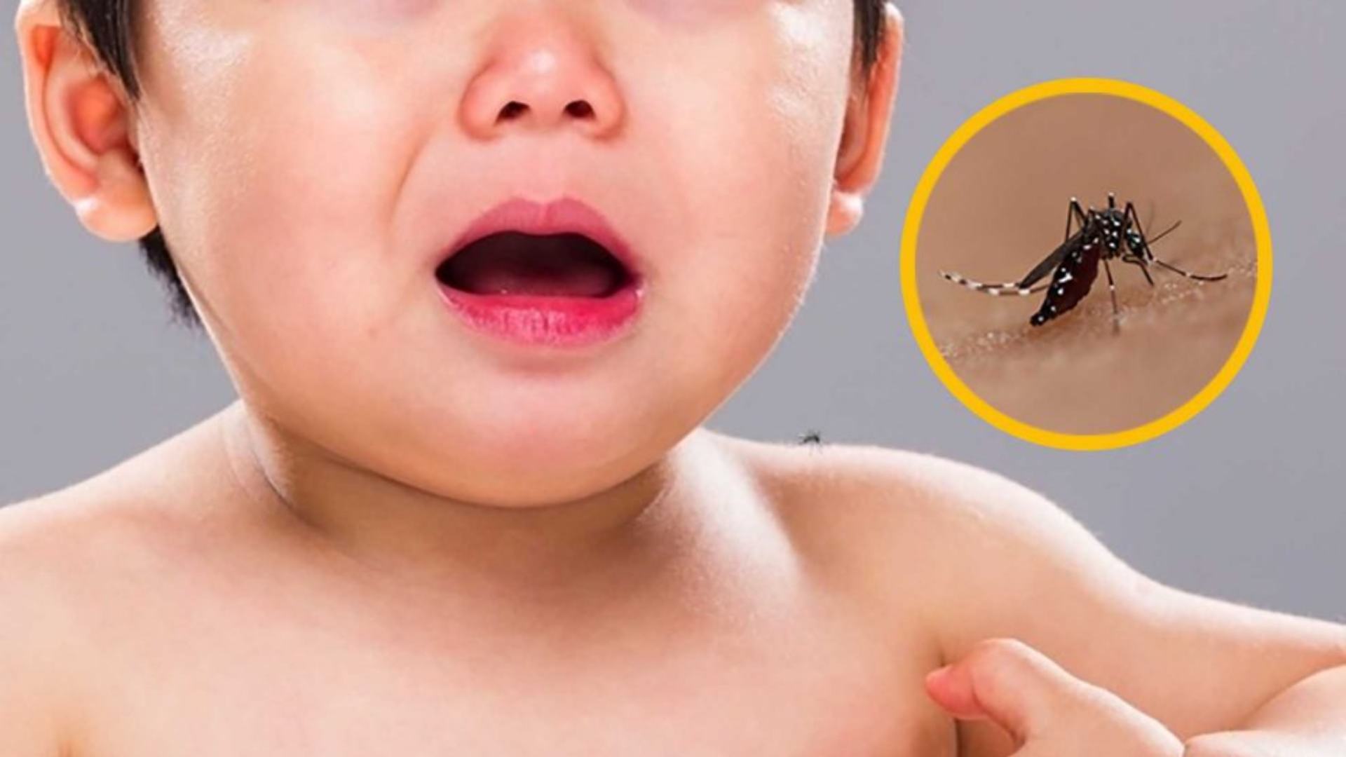 Dengue bebé de 17 días