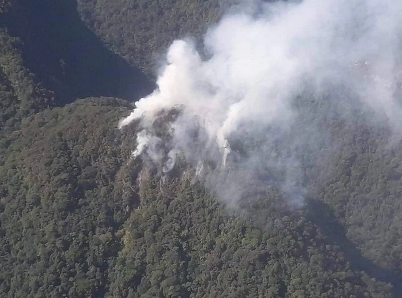 humo blanco pico bonito