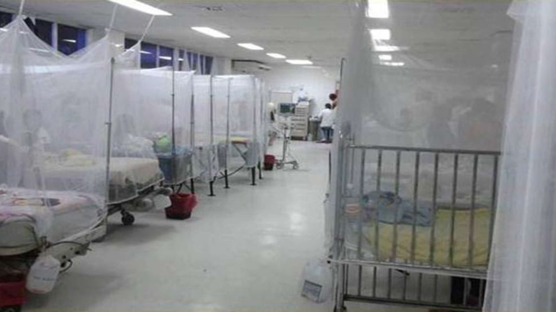 dengue