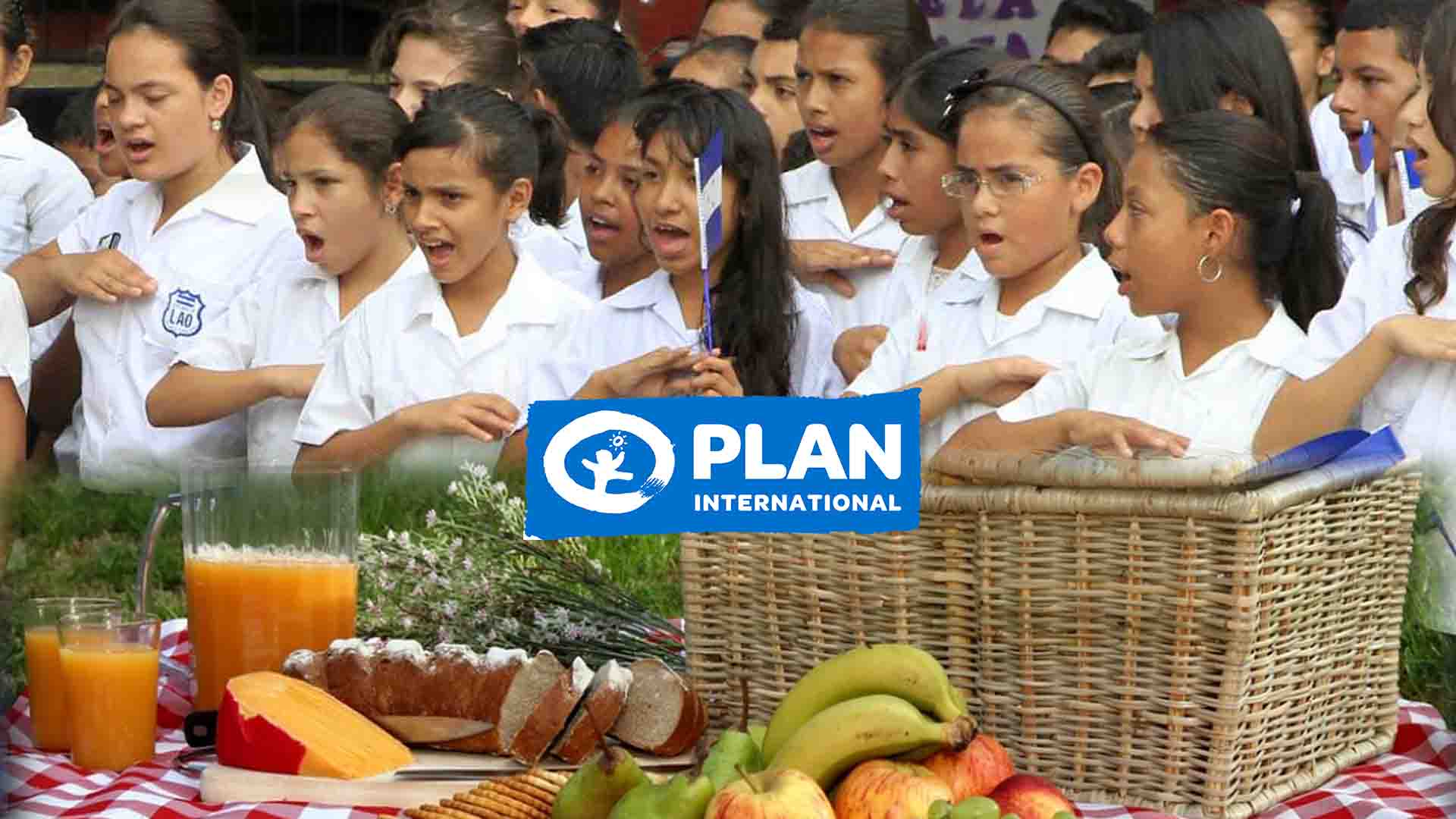 picnic educacion
