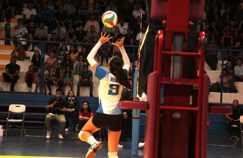 hija presentadora noticias voleibol hija presentadora noticias voleibol