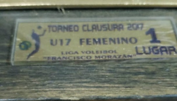 hija presentadora noticias voleibol