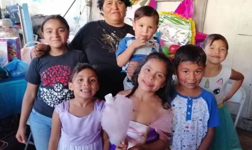 niña atropello gato ayuda niña atropello gato ayuda