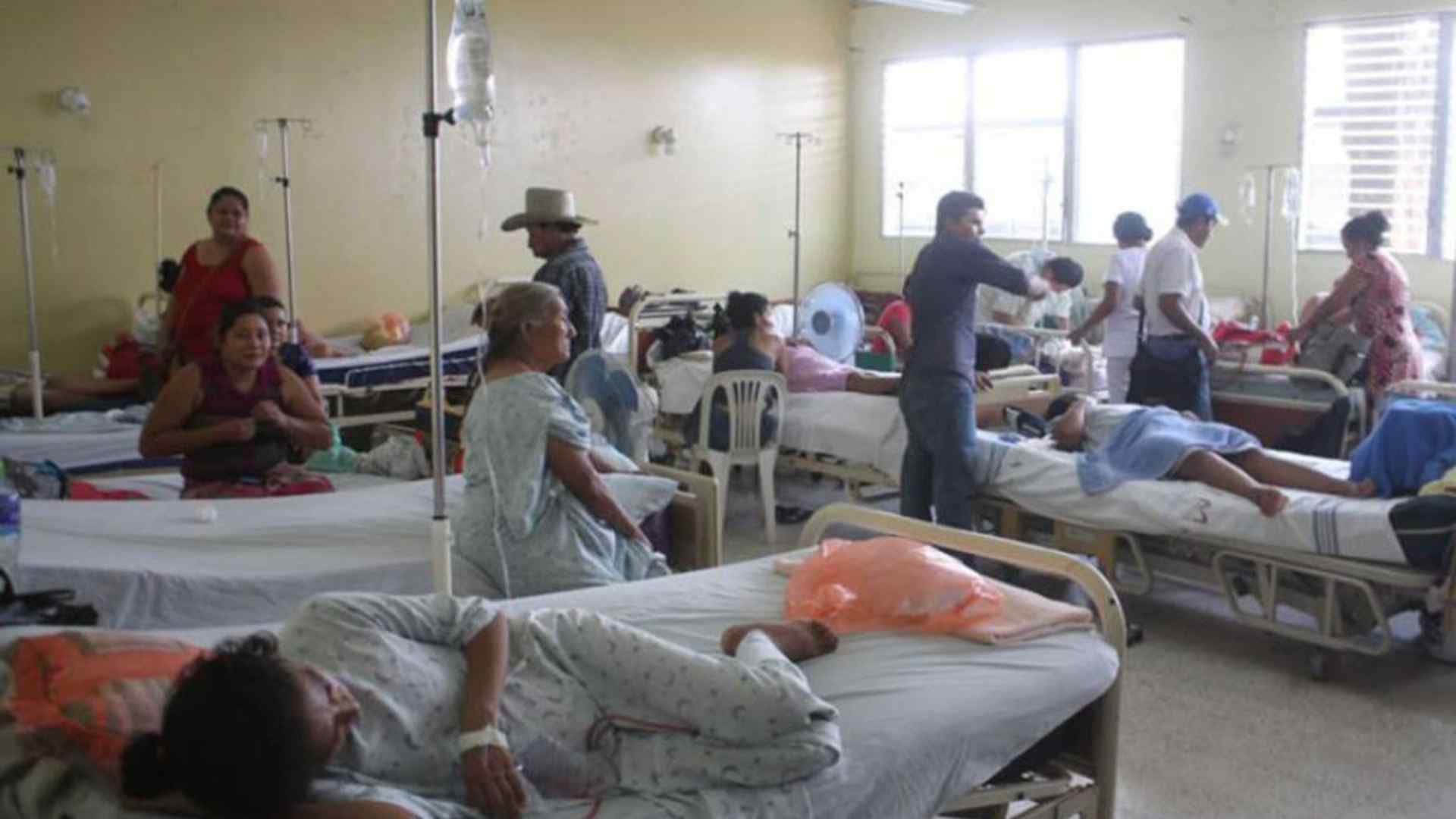 Casos dengue