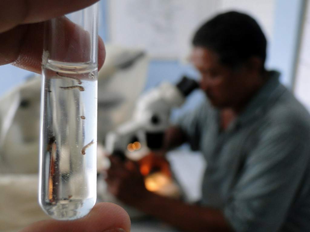 MALARIA