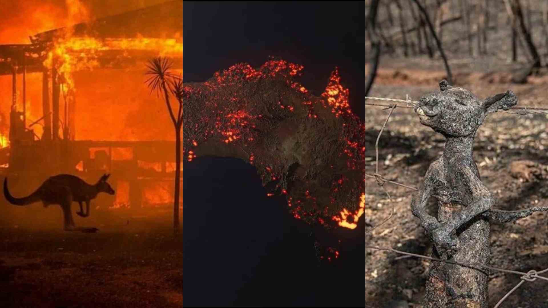 Incendios Australia