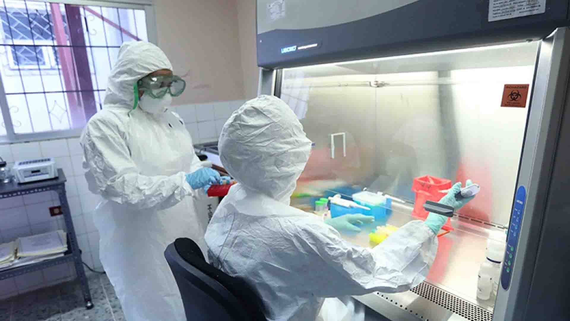 Laboratorio virologia