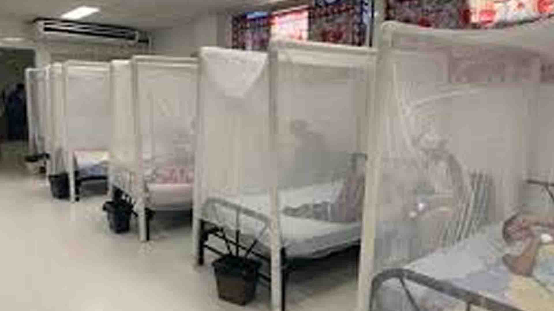 dengue