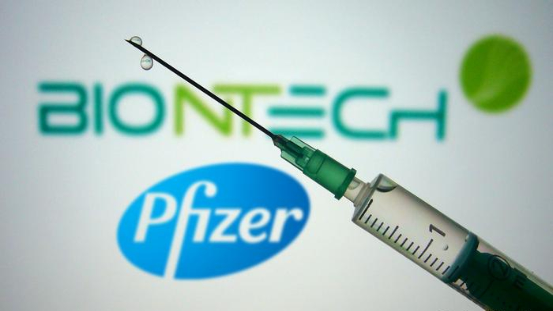 Pfizer Tegucigalpa aplicada