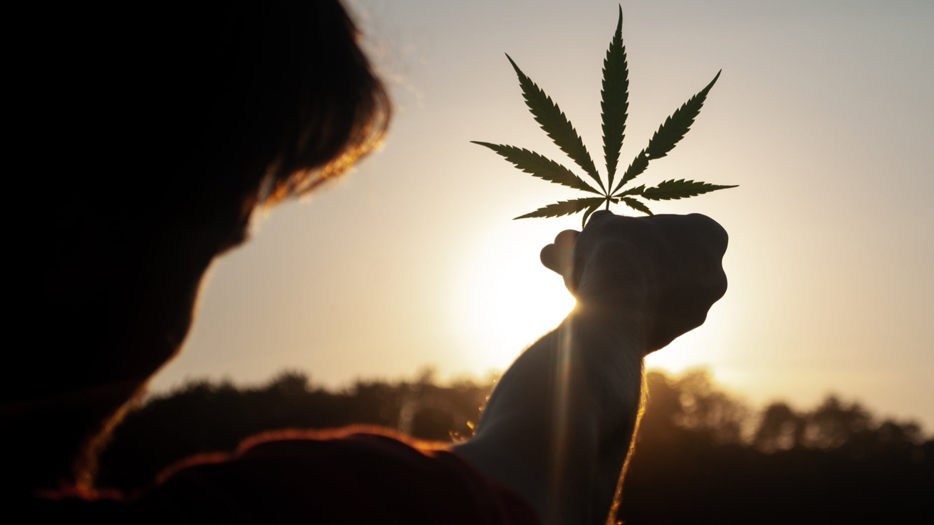Marihuana