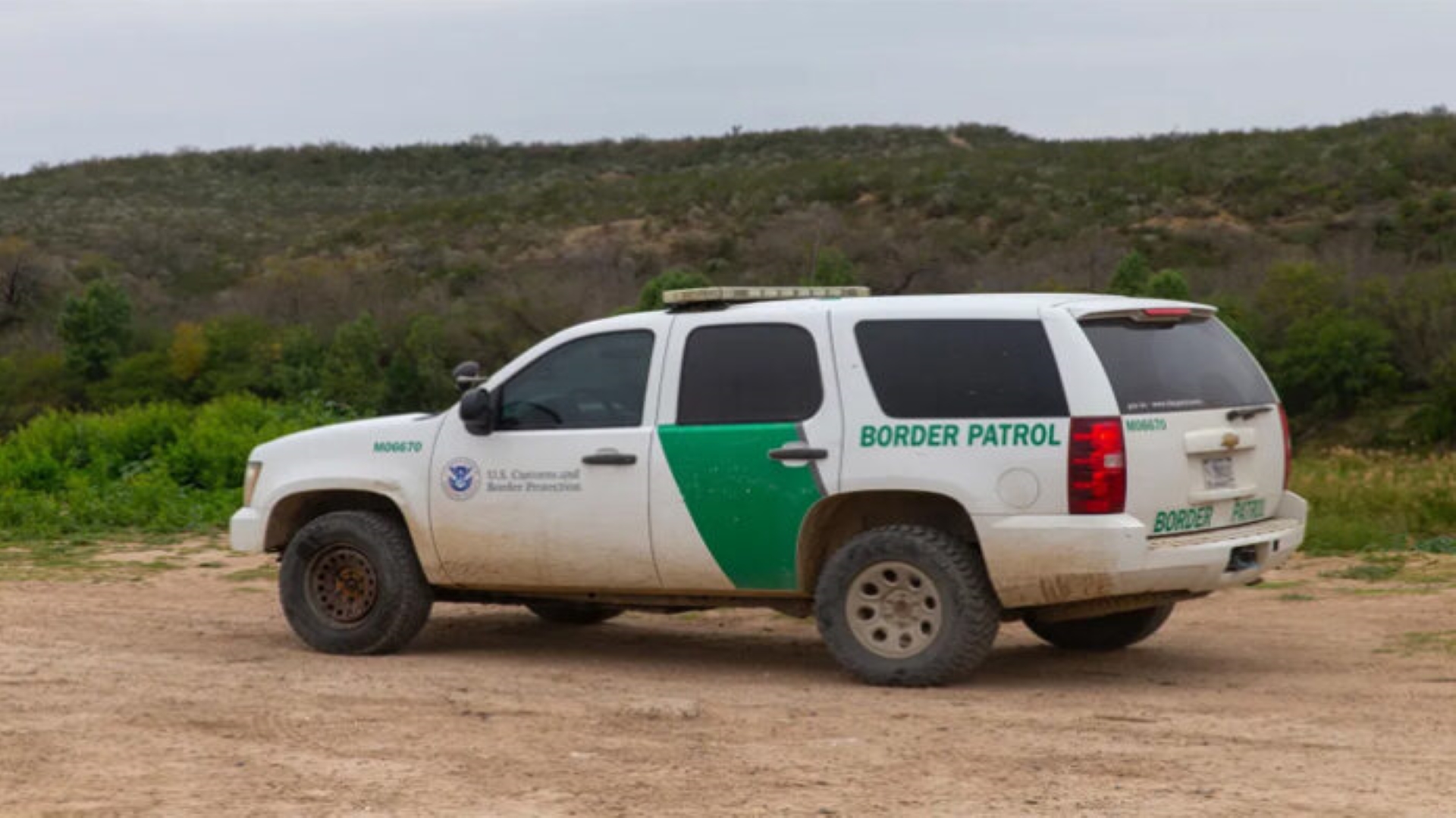 migrante