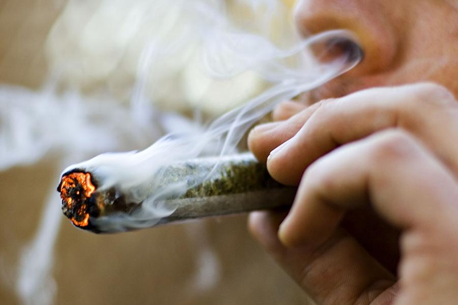 washington marihuana