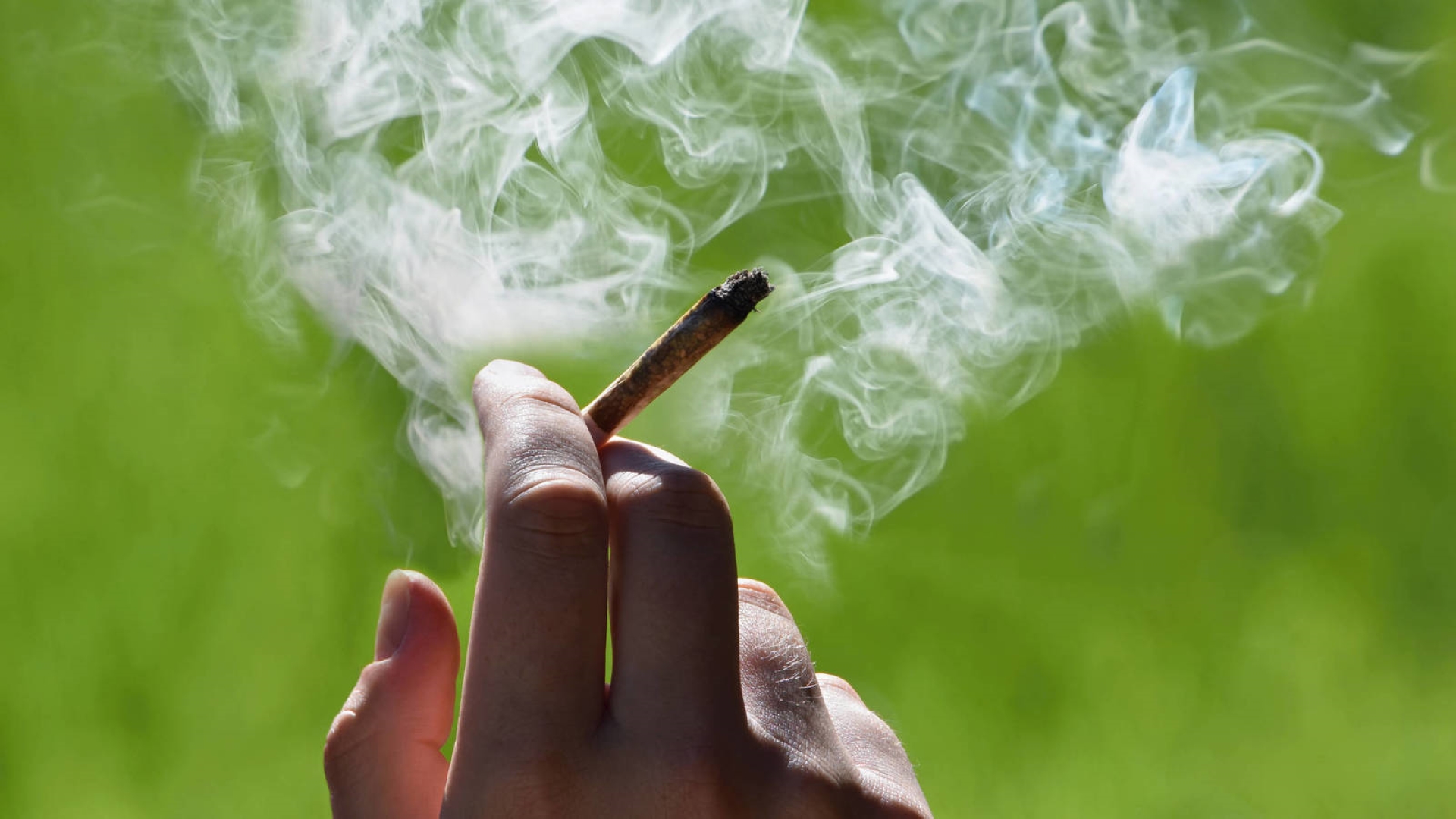 washington marihuana