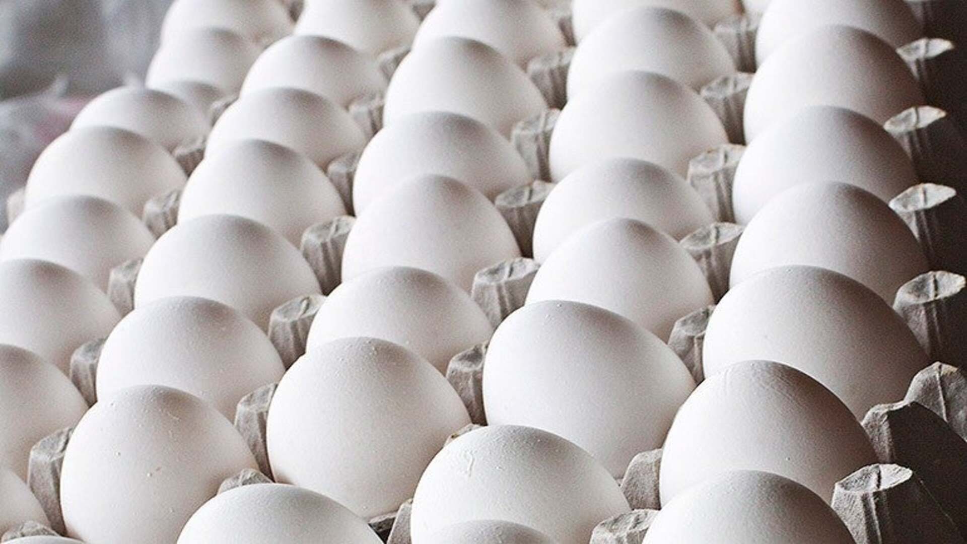 precio cartón de huevos honduras
