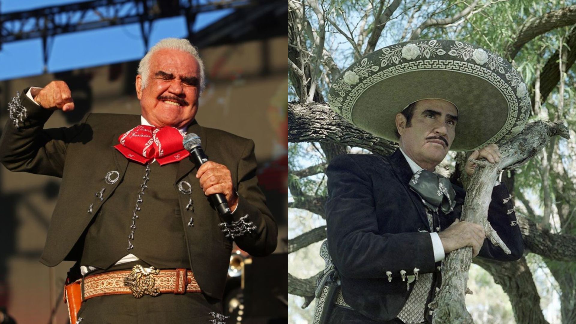 Vicente Fernández