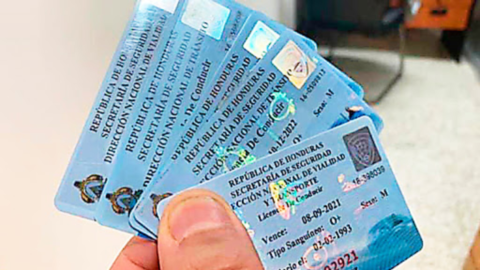 licencia