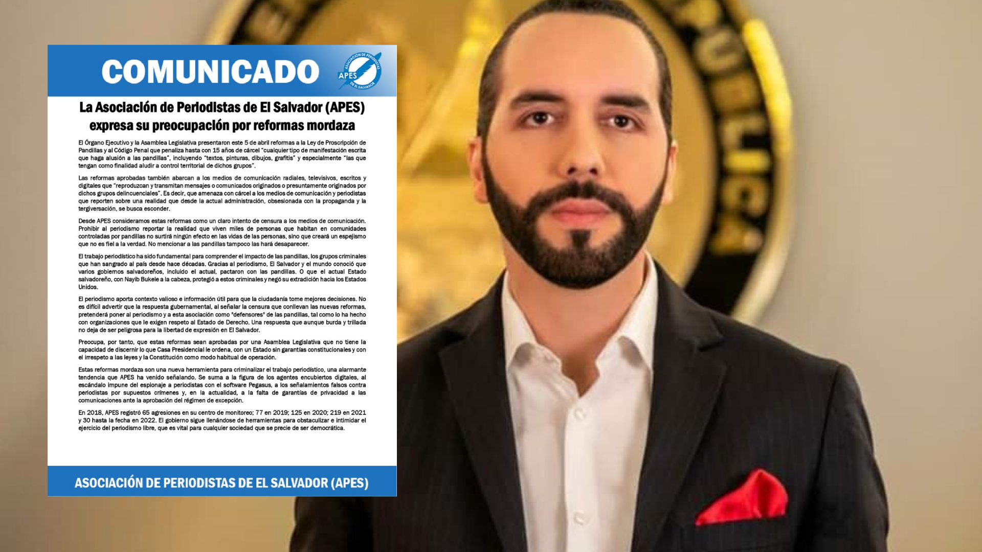 Libertad de expresión