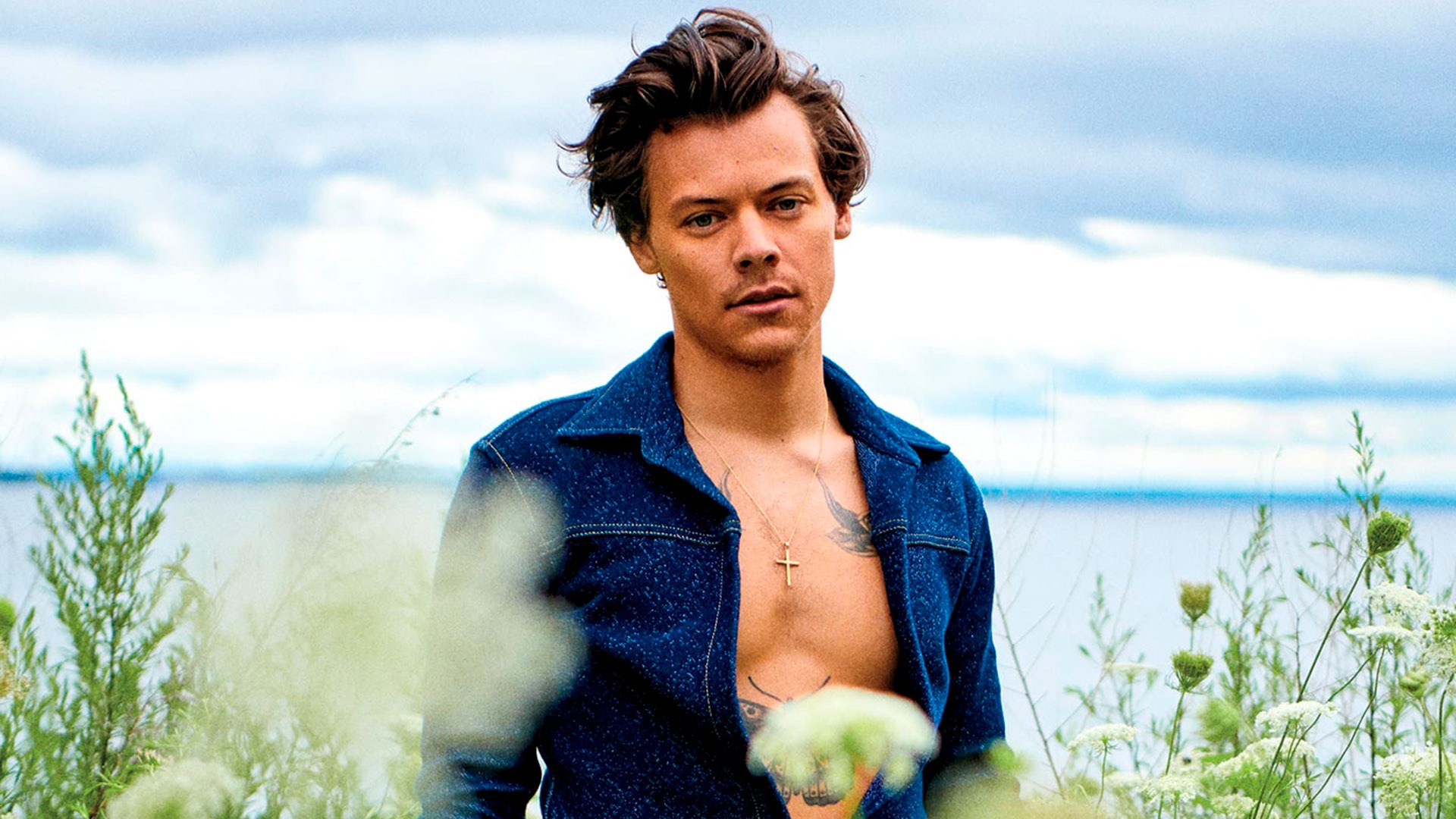 Harry Styles