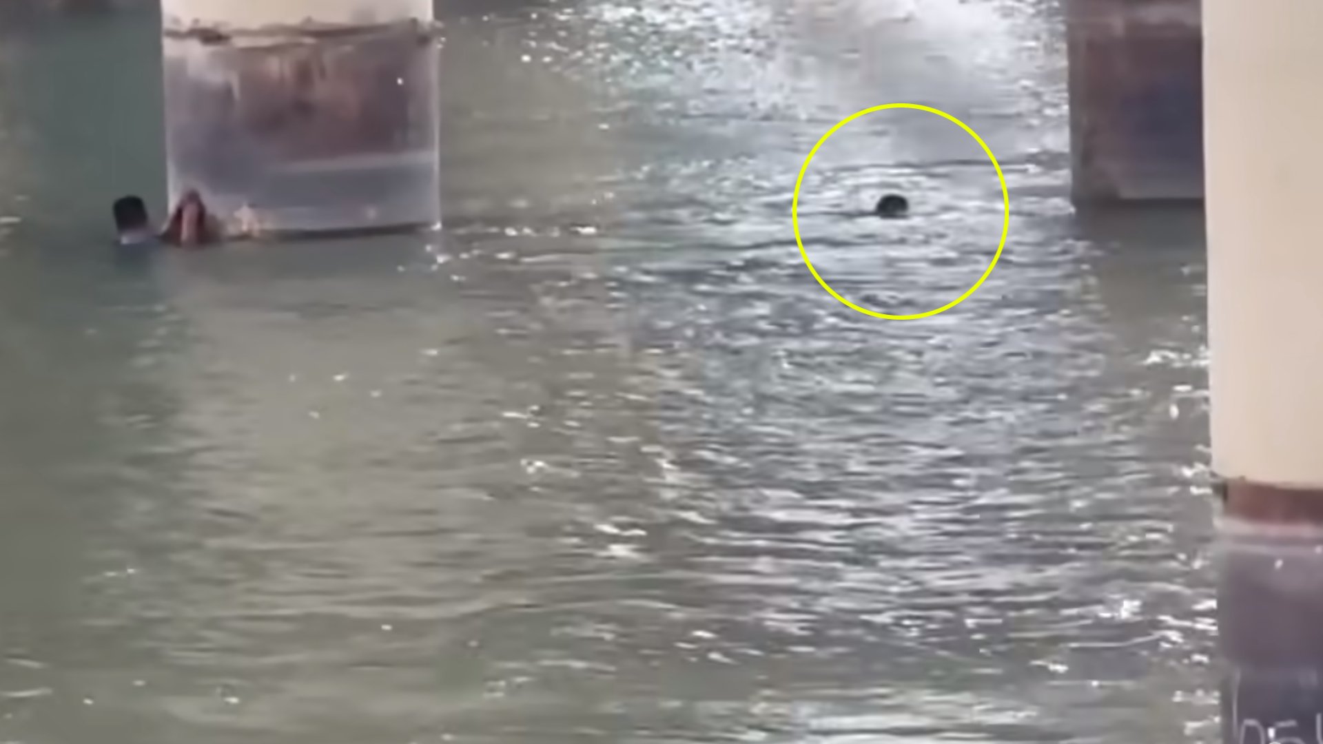 Río
