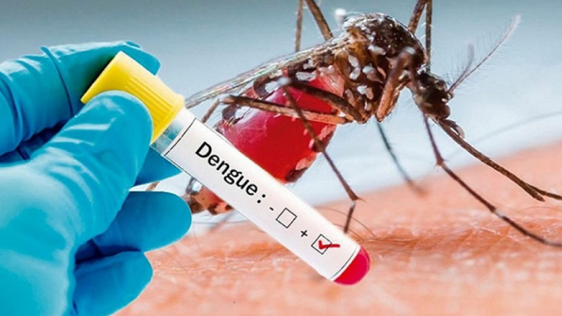 dengue