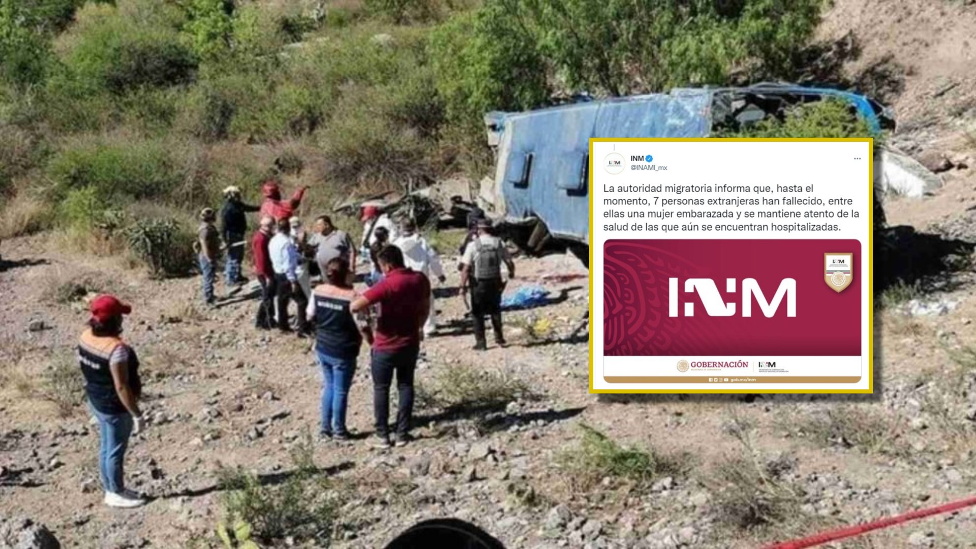 migrantes