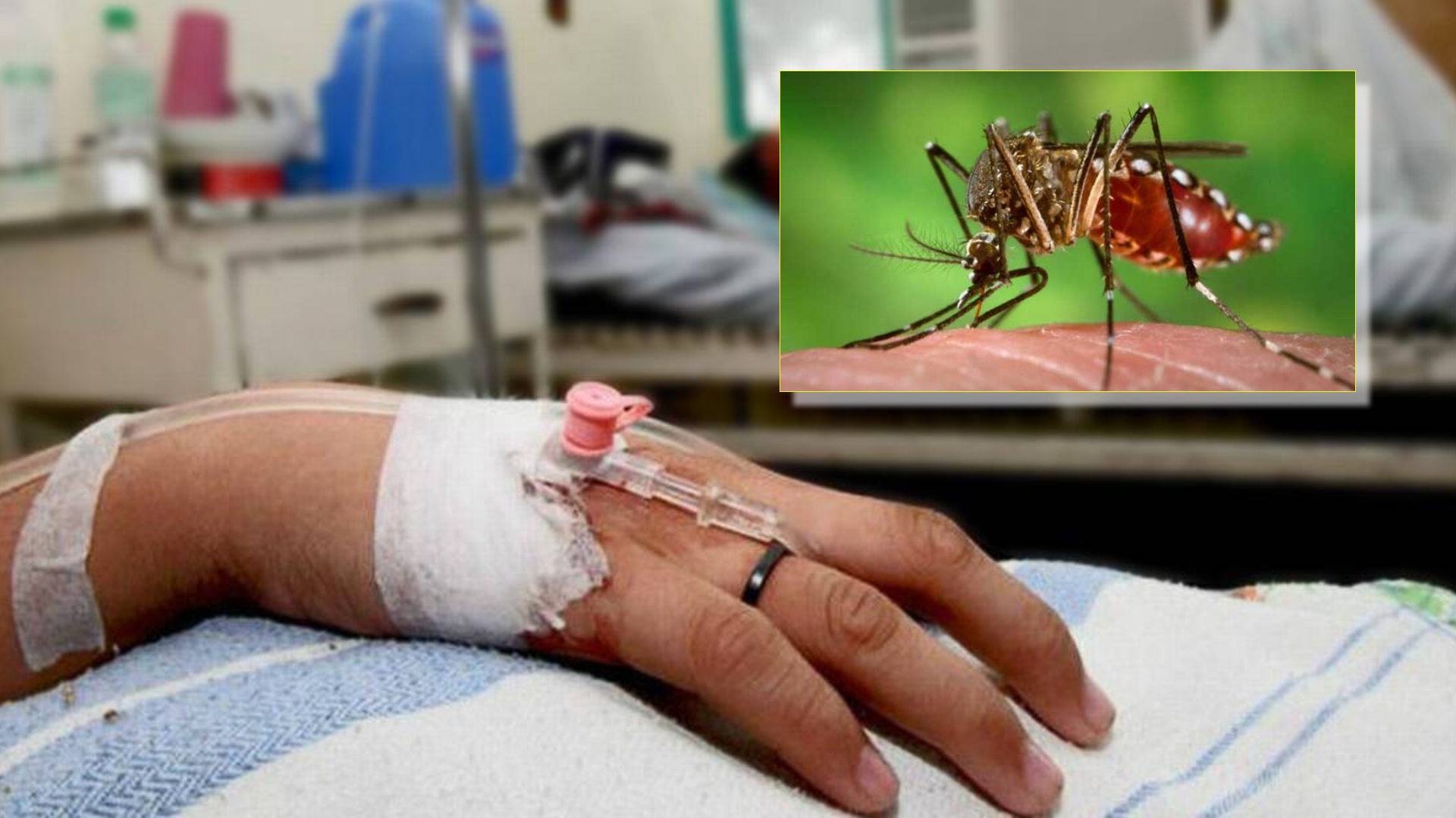 dengue