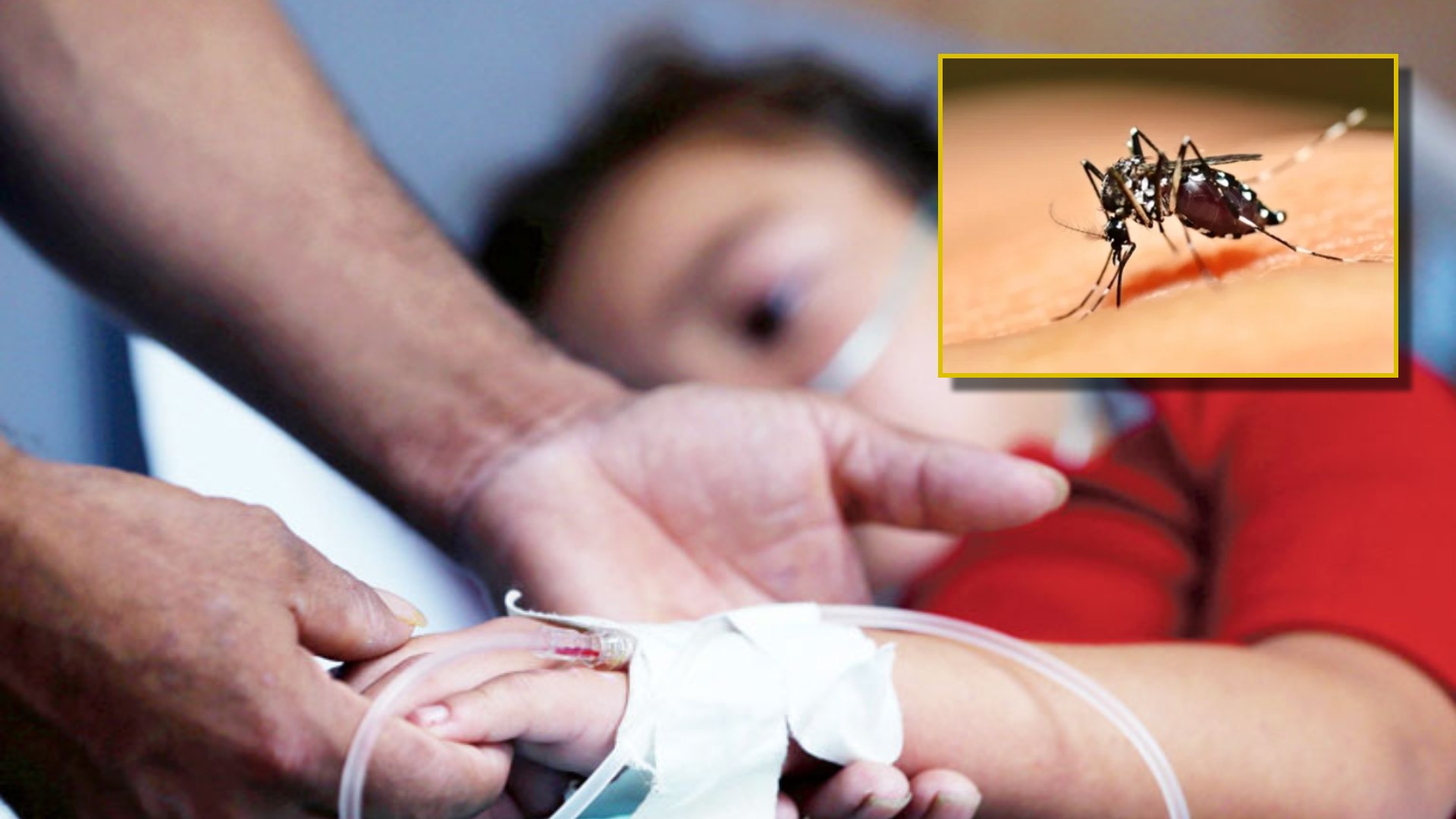 dengue