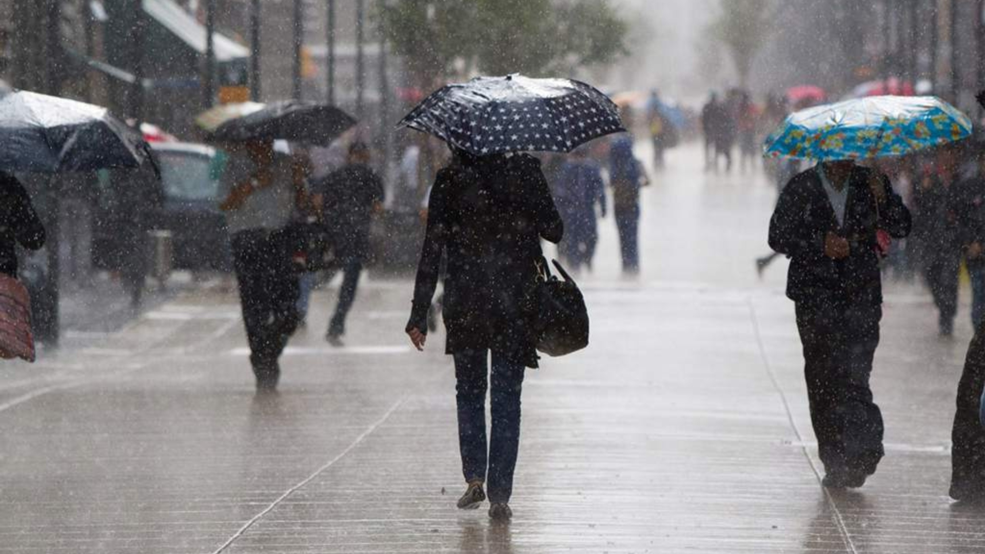 lluvias