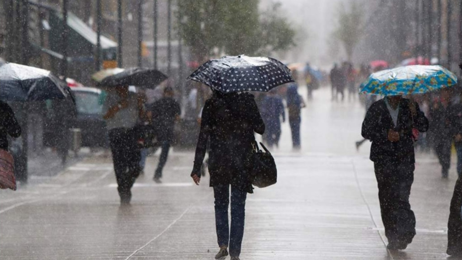 Lluvias