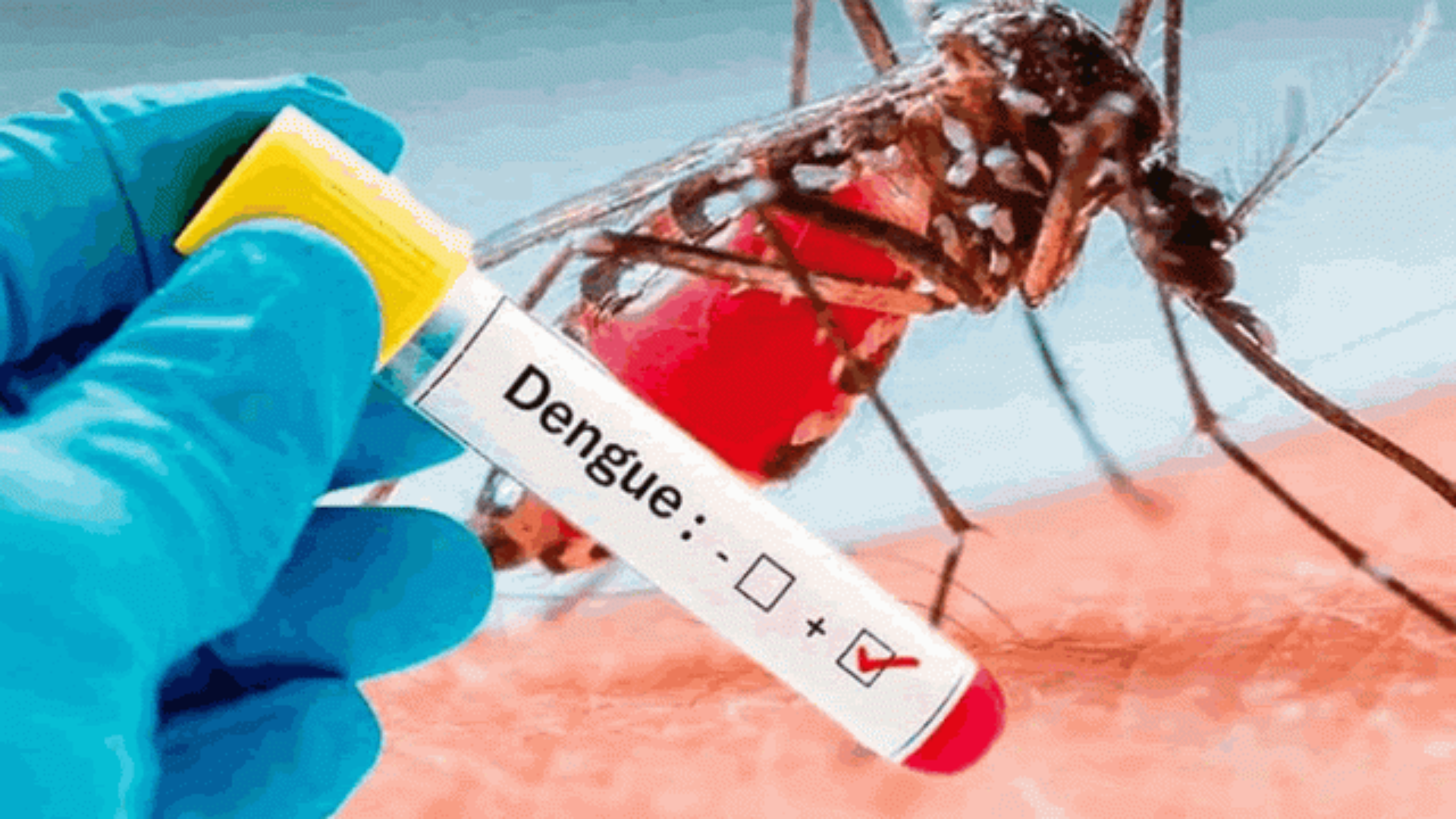 dengue