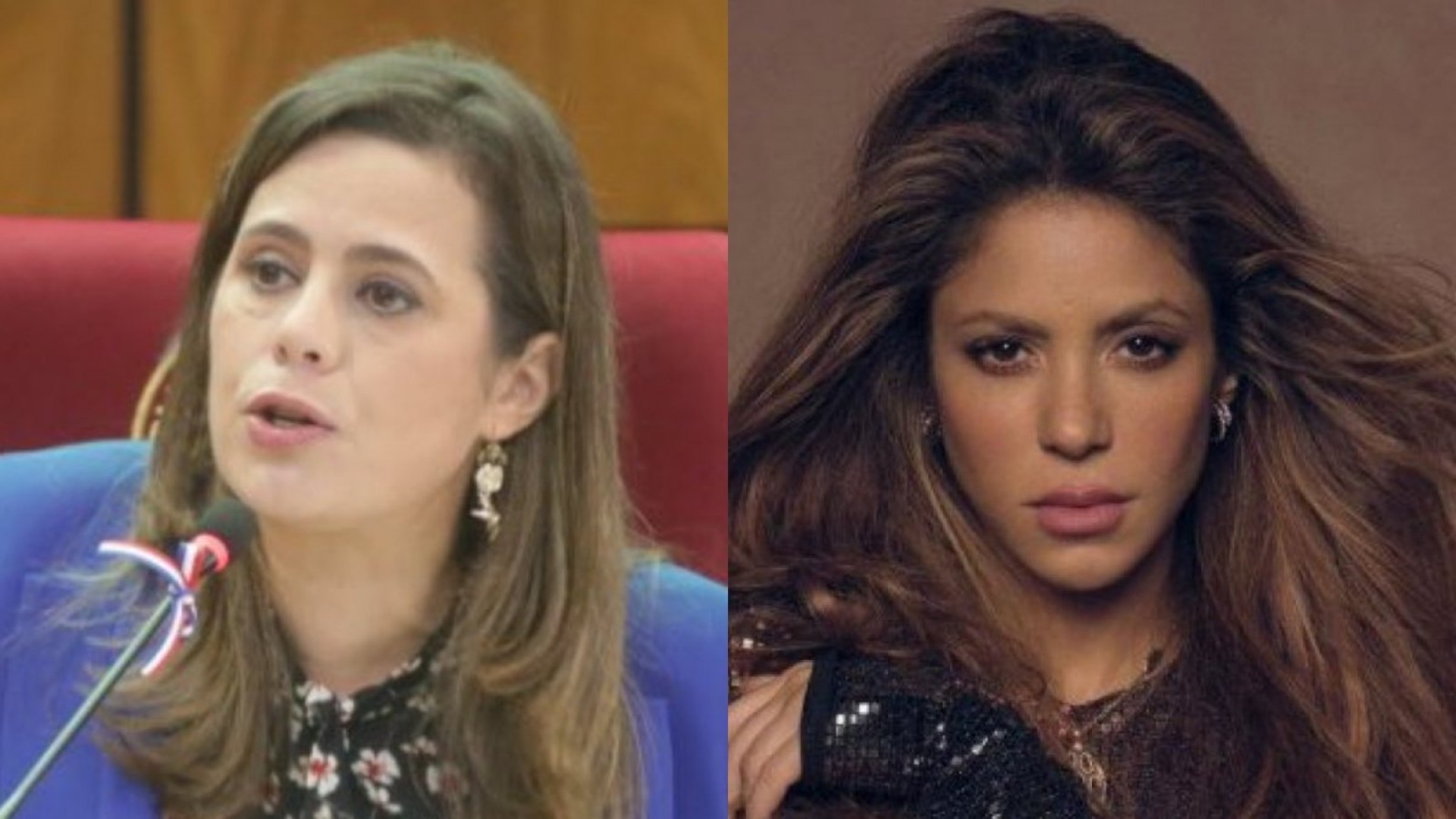diputada