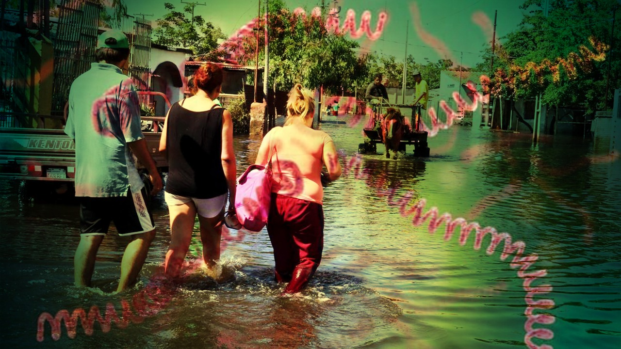 Leptospirosis