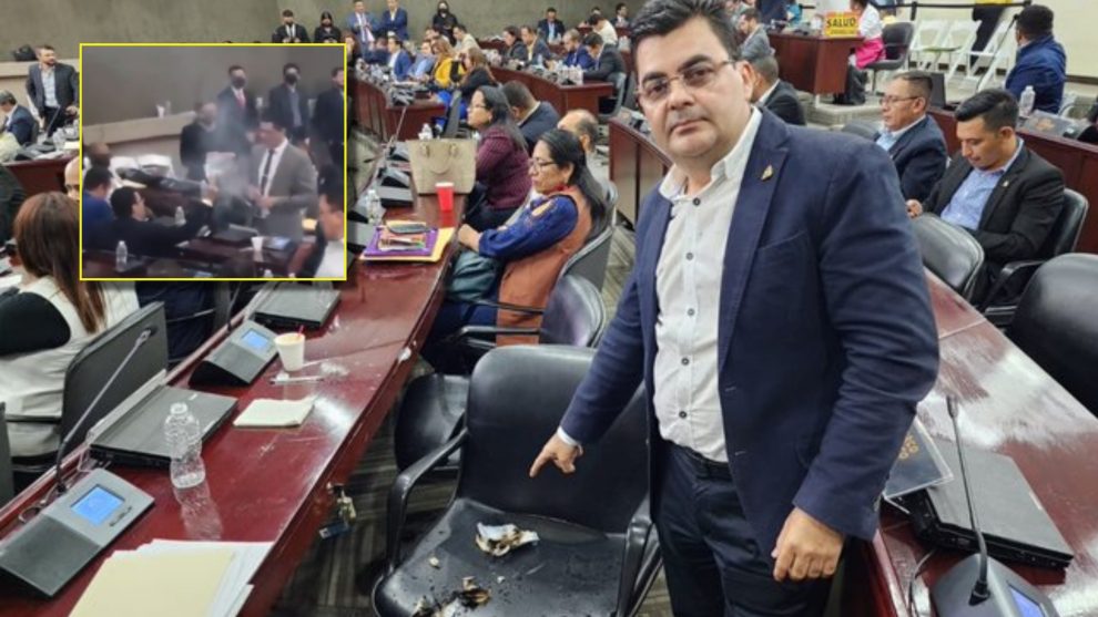 diputado
