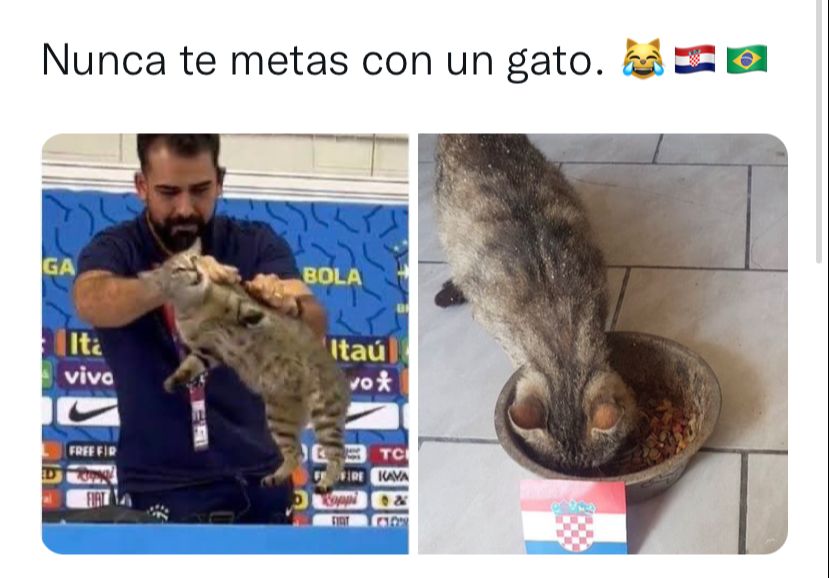 memes