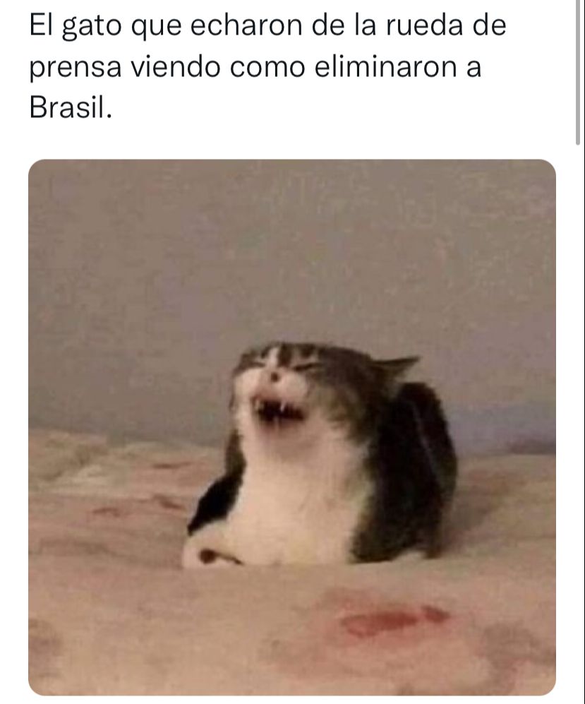 memes