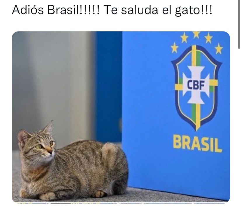memes
