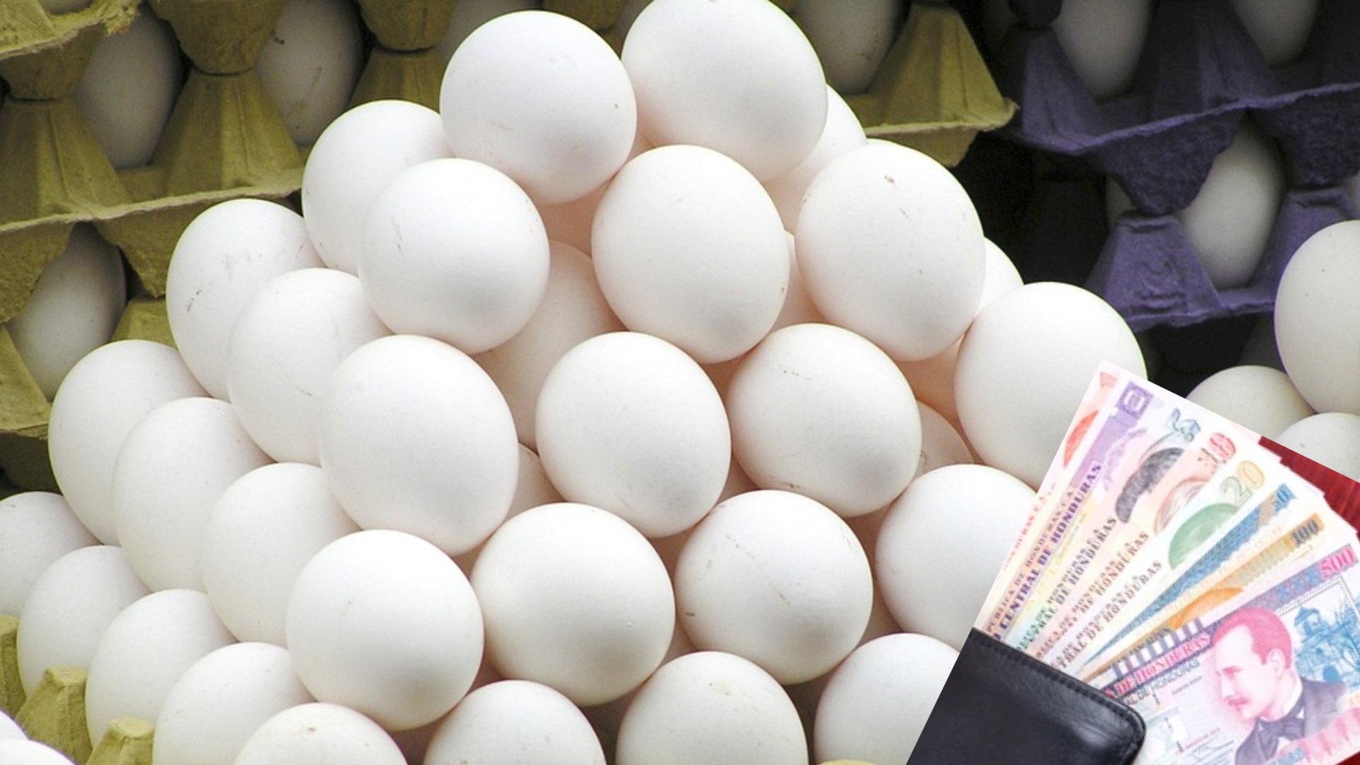 huevos