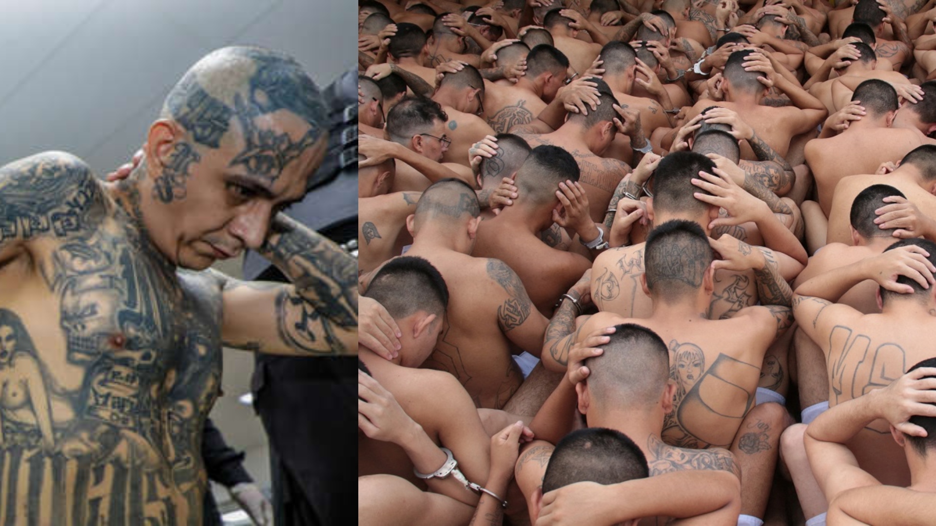 pandilleros