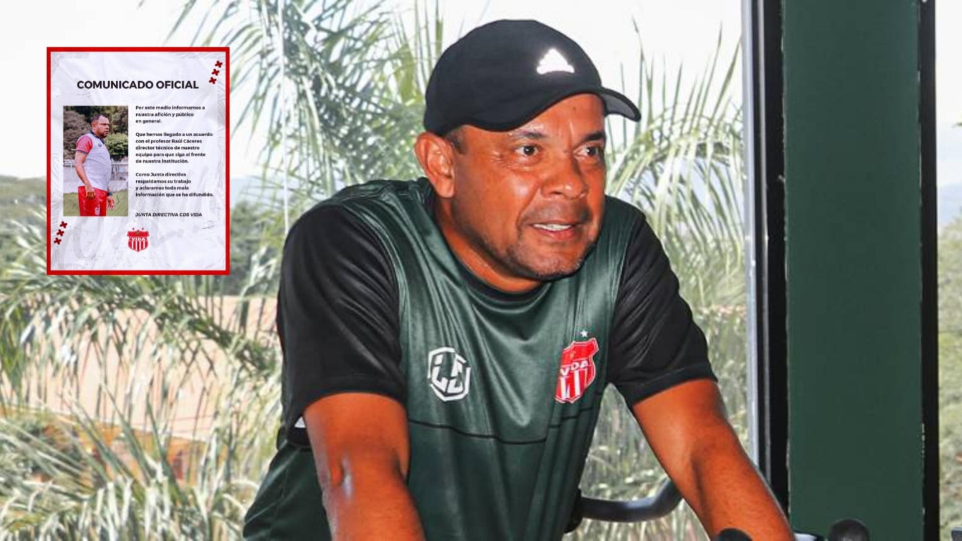 Vida