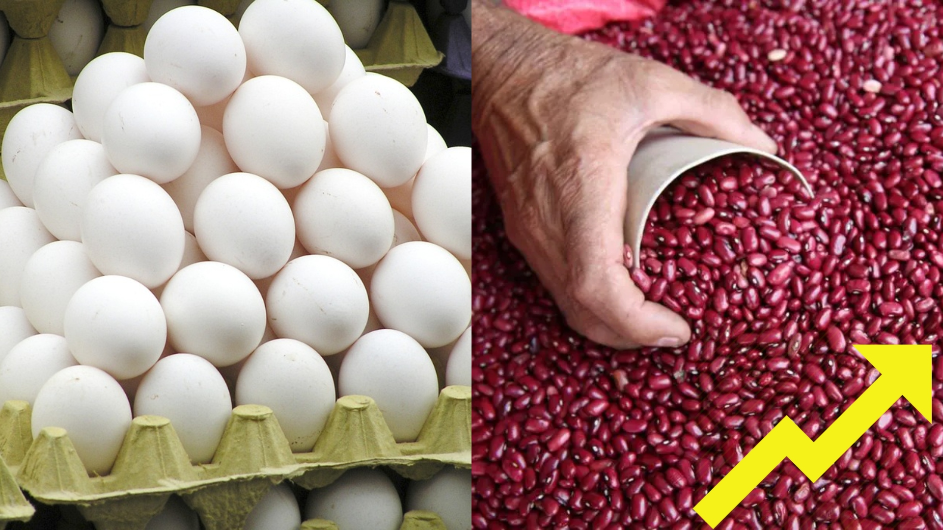 huevos