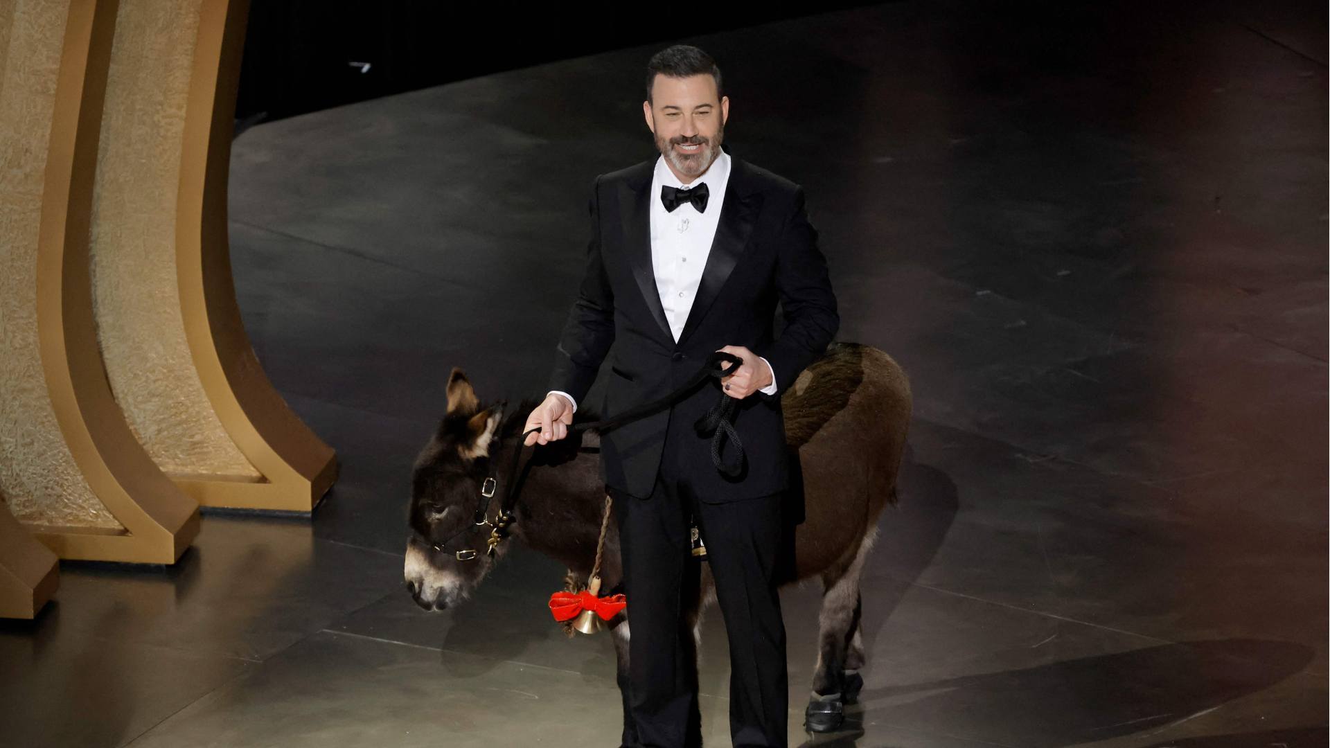 Burro