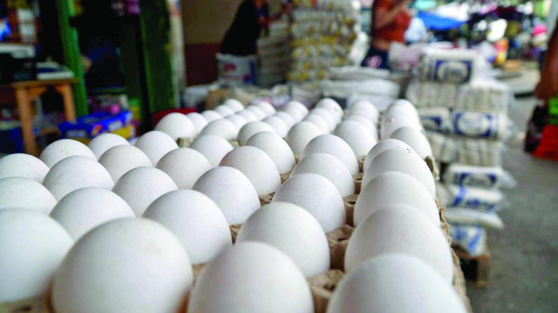 huevos