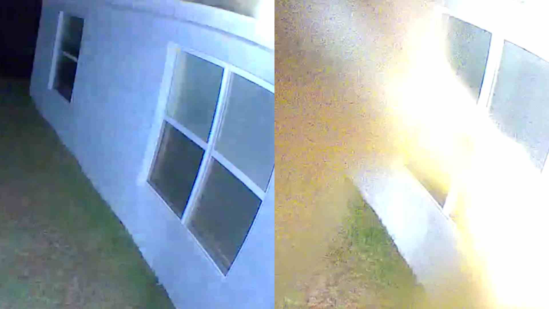 video criatura extraña en florida